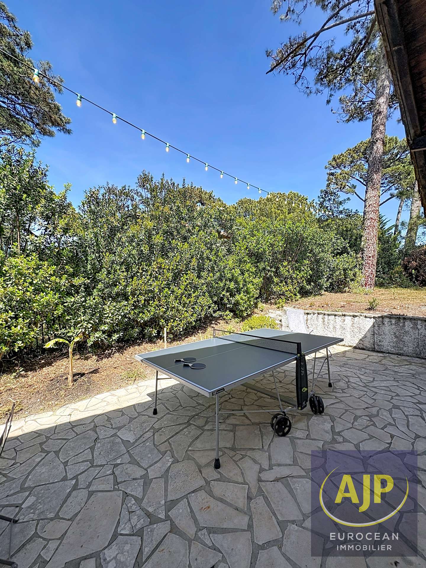 Ping pong 