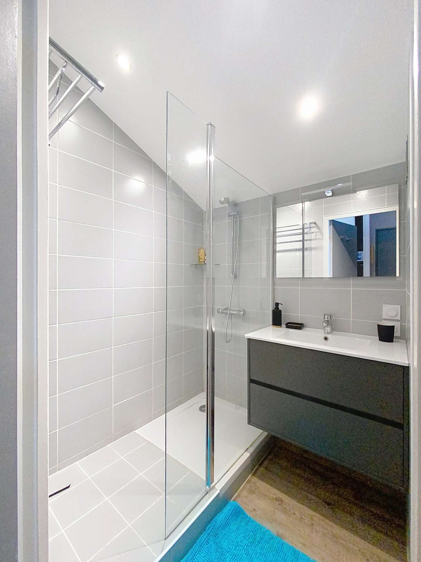 Salle d'eau + WC
