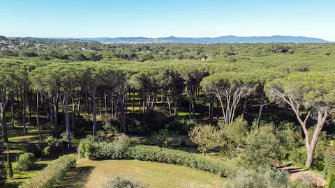 La villa Auba Verde St-Raphaël — photo 35