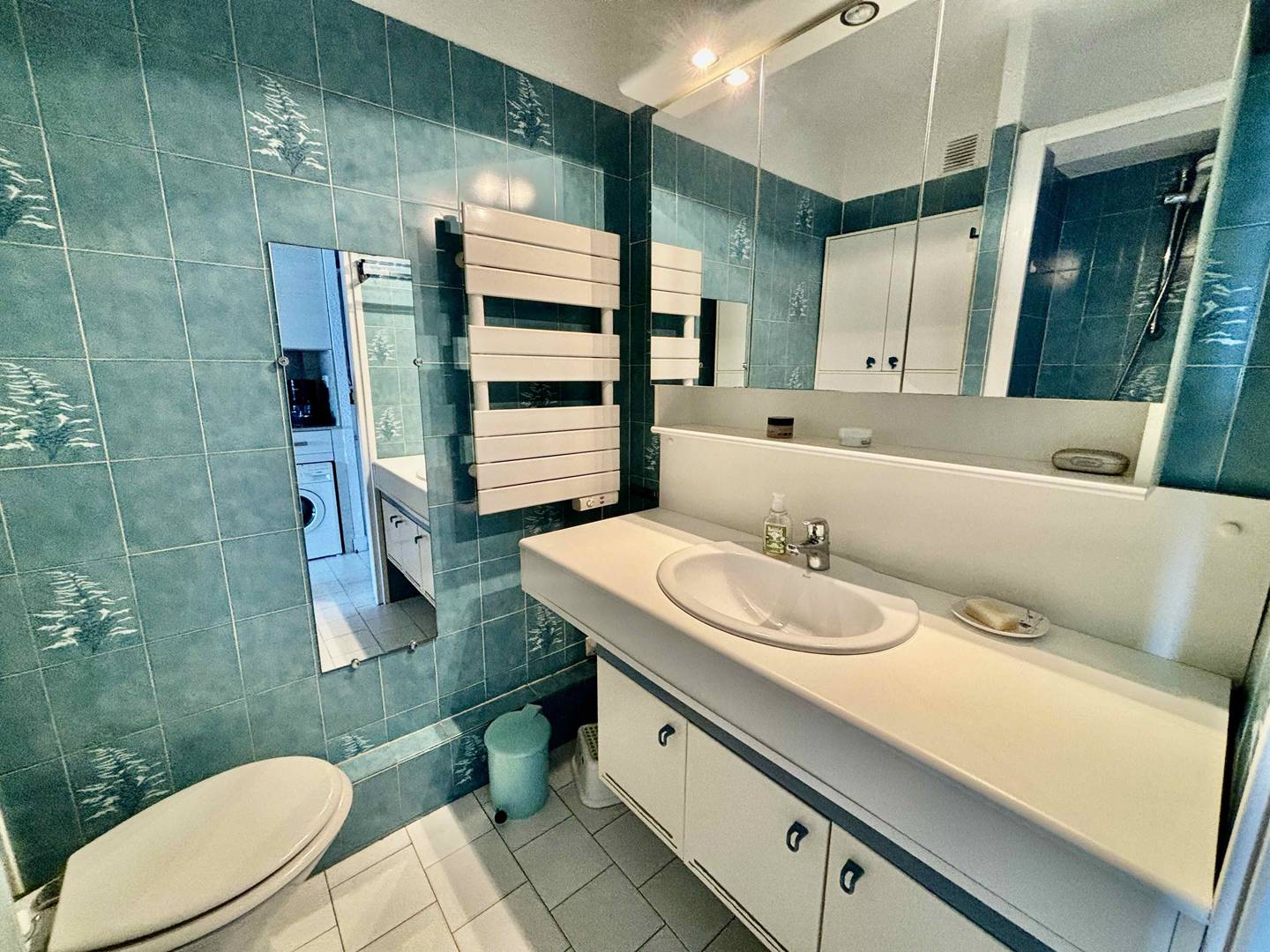 LE 'MISTRAL' - Appartement pieds dans l'eau