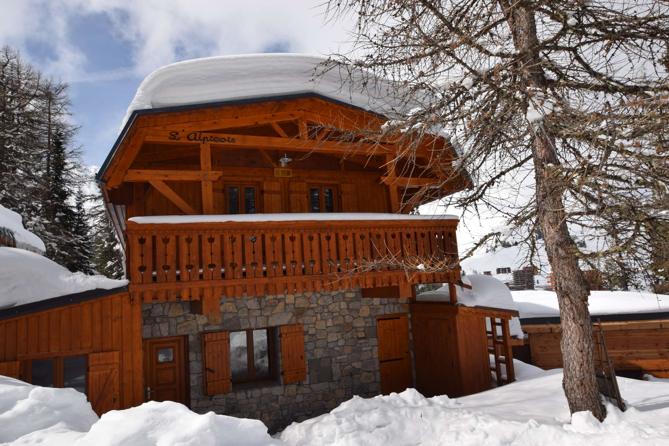 Chalet L'ALPICOIS 10 pers - PLAGNE CENTRE - ref CTALPI - 11