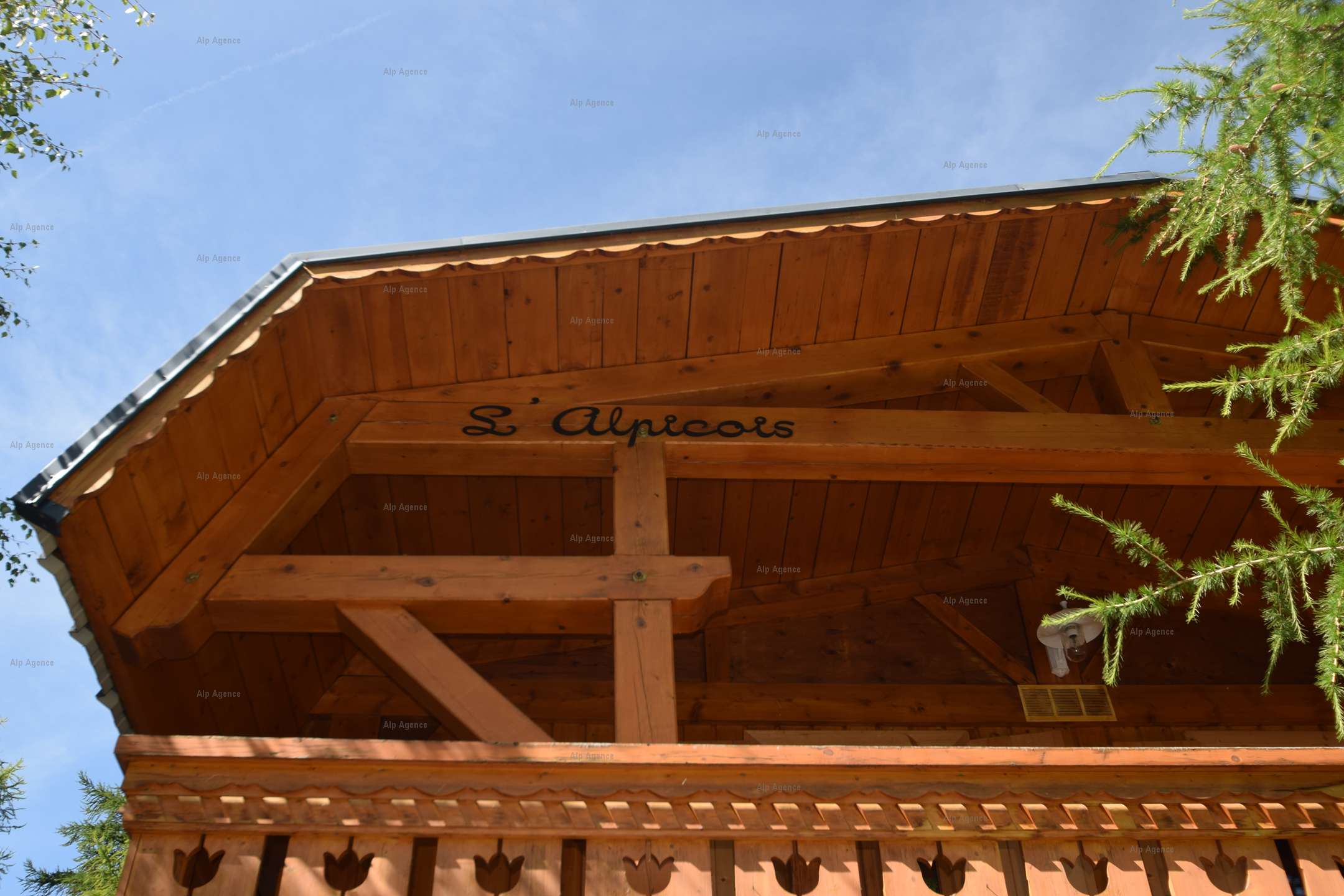Chalet L'ALPICOIS 10 pers - PLAGNE CENTRE -wifi - - ref CTALPI - 21