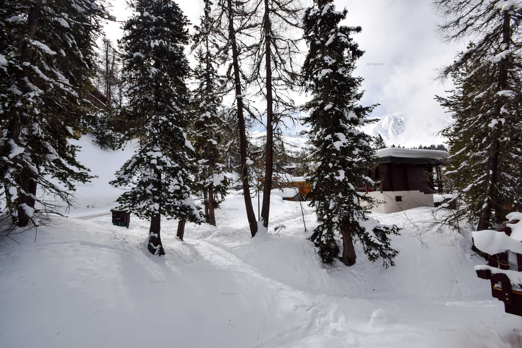 Chalet LE MAZOT - 6 pers. à PLAGNE CENTRE - ref CTMAZ - 13