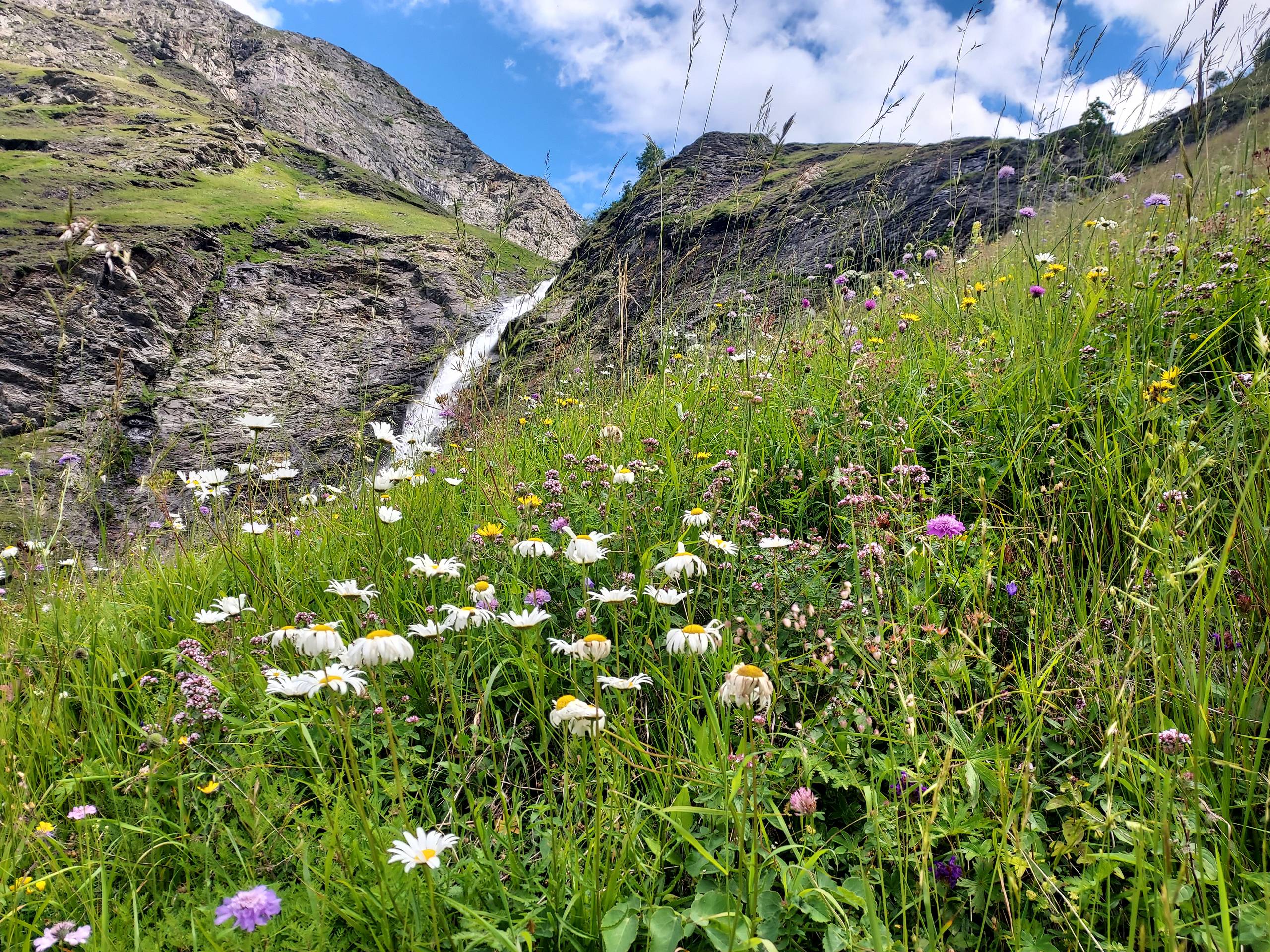LES TERRASSES DE LA VANOISE B24 - ref CHA-TERB24 - 45