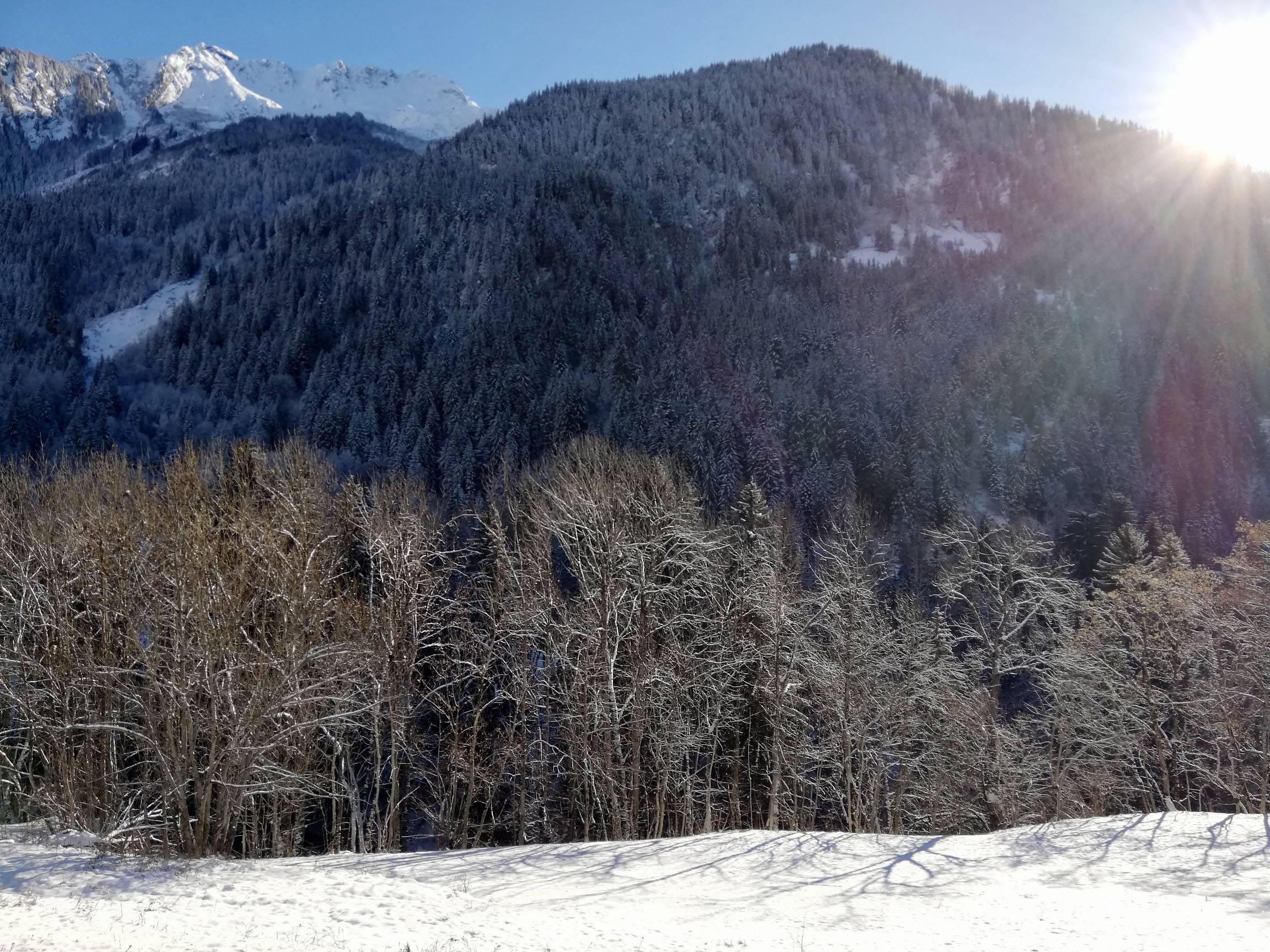 NOUVEAU ! APPART 4 PERS. LES TERRASSES DE LA VANOISE B01 - ref CHA-TERB01 - 16